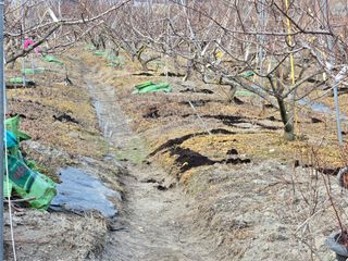 노아님의 기타작물 · 영농일지 작성글 사진