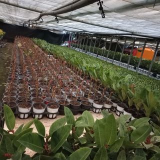 두릅나무15847님의 작성글 사진