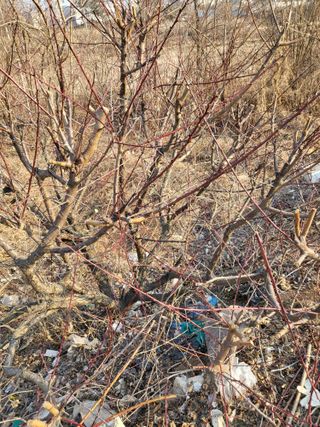 최병우님의 벼 · 영농일지 작성글 사진