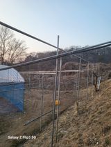 이상만님의 작성글 사진