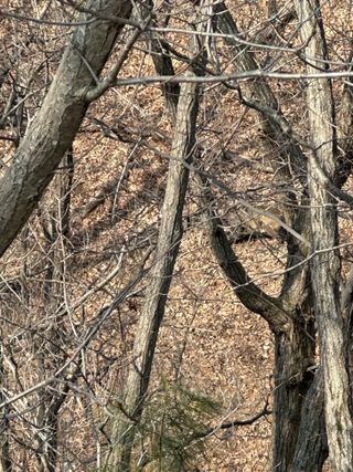 이익수님의 기타작물 · 영농일지 작성글 사진