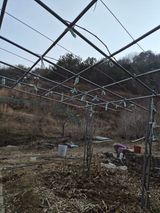 팜모닝 기타작물·영농일지 게시글 이미지