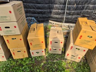 늘햇살팜 님의 기타작물 · 영농일지 작성글 사진