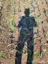 개인교수님의 작성글 사진