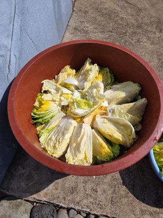 산방자연농원님의 기타작물 · 영농일지 작성글 사진