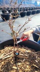 이준석님의 작성글 사진