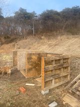 팜모닝 기타작물·영농일지 게시글 이미지