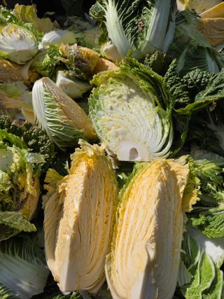 산방자연농원님의 기타작물 · 영농일지 작성글 사진