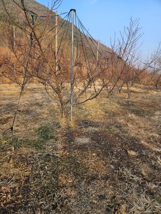 드라곤해드님의 기타작물 · 영농일지 작성글 사진