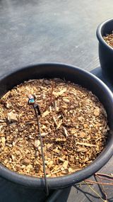 이준석님의 작성글 사진