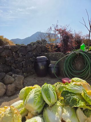 산방자연농원님의 기타작물 · 영농일지 작성글 사진