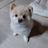 가로수님의 작성글 사진