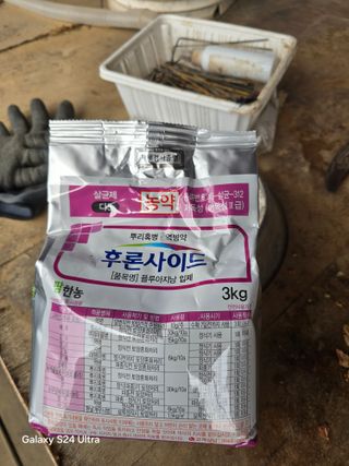 소병찬님의 마늘 · 영농일지 작성글 사진