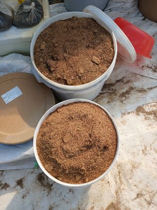 땅콩맘님의 참깨 · 영농일지 작성글 사진