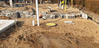 김동진님의 기타작물 · 영농일지 작성글 사진