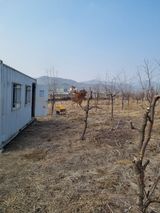 최기동님의 작성글 사진