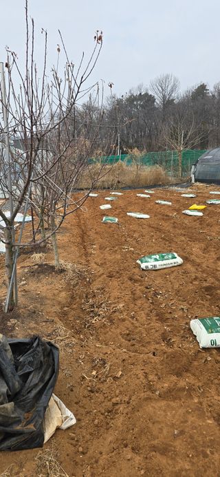 시흥댓골농부님의 기타작물 · 영농일지 작성글 사진