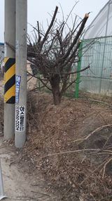 송완춘님의 작성글 사진