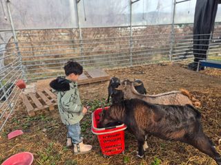 늘햇살팜 님의 기타작물 · 영농일지 작성글 사진