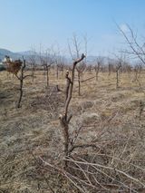 최기동님의 작성글 사진