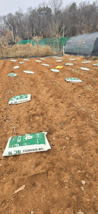 시흥댓골농부님의 기타작물 · 영농일지 작성글 사진