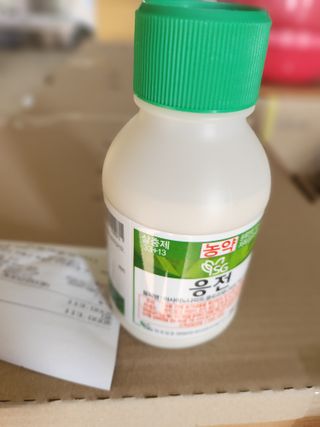 배종규님의 딸기 · 영농일지 작성글 사진