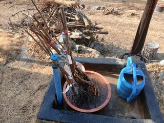 유근승님의 기타작물 · 영농일지 작성글 사진