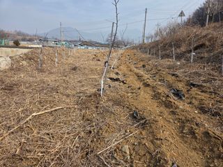 이선희님의 사과 · 영농일지 작성글 사진