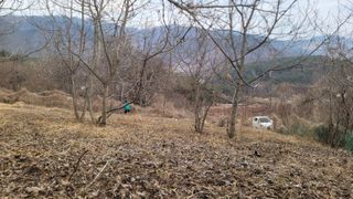 여우내 이순홍님의 기타작물 · 영농일지 작성글 사진