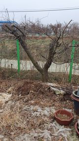 송완춘님의 작성글 사진