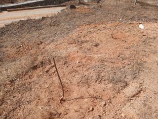 유근승님의 기타작물 · 영농일지 작성글 사진