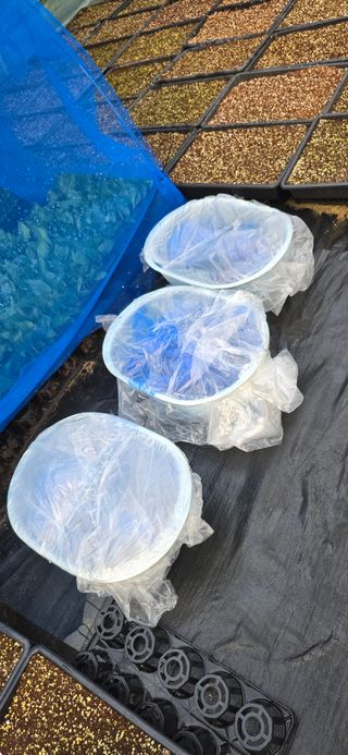 두릅나무15847님의 기타작물 · 영농일지 작성글 사진