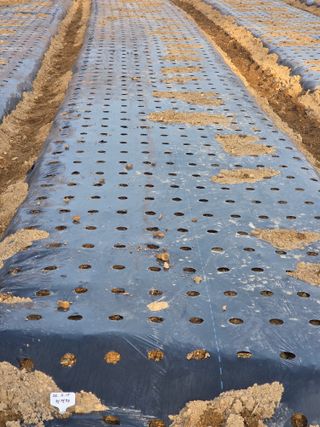 김정은님의 기타작물 · 영농일지 작성글 사진