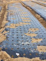 팜모닝 기타작물·영농일지 게시글 이미지