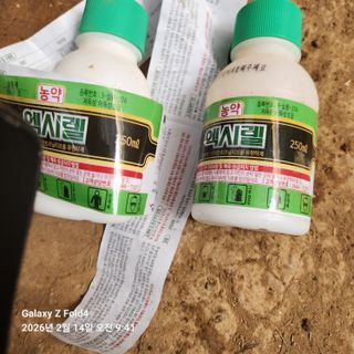 김성훈님의 기타작물 · 영농일지 작성글 사진