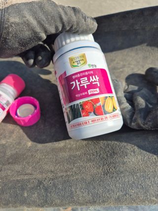 장동희님의 기타작물 · 영농일지 작성글 사진
