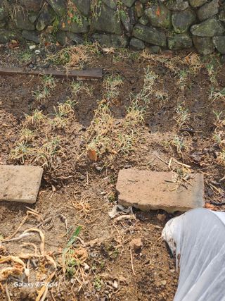헤라여신^^♡님의 기타작물 · 영농일지 작성글 사진
