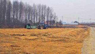 이미옥님의 벼 · 영농일지 작성글 사진