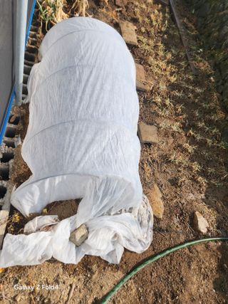 헤라여신^^♡님의 기타작물 · 영농일지 작성글 사진