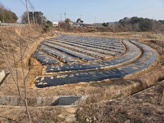 김정은님의 마늘 · 영농일지 작성글 사진