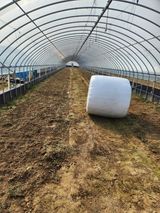 팜모닝 기타작물·영농일지 게시글 이미지