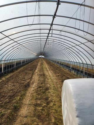 김저팔계님의 기타작물 · 영농일지 작성글 사진