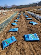 김인수님의 작성글 사진