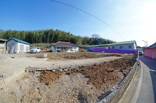 김상진님의 참깨 · 영농일지 작성글 사진