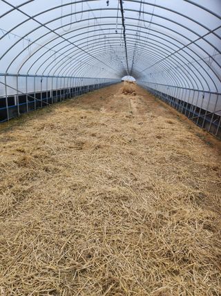 김저팔계님의 기타작물 · 영농일지 작성글 사진