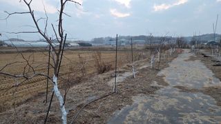 이종선님의 기타작물 · 영농일지 작성글 사진