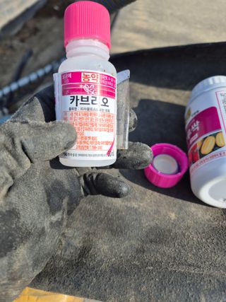 장동희님의 기타작물 · 영농일지 작성글 사진