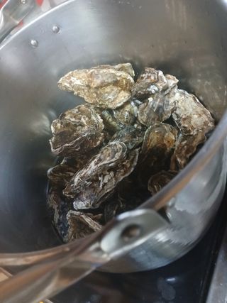 최유순님의 기타작물 · 영농일지 작성글 사진