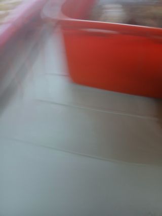 최유순님의 기타작물 · 영농일지 작성글 사진