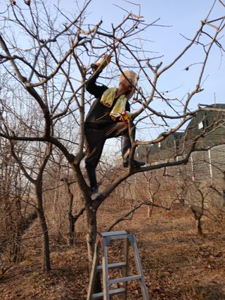 최훈님의 기타작물 · 영농일지 작성글 사진